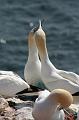 50DP-2009-015 Bild053